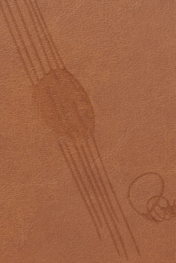 CARTERA PIEL