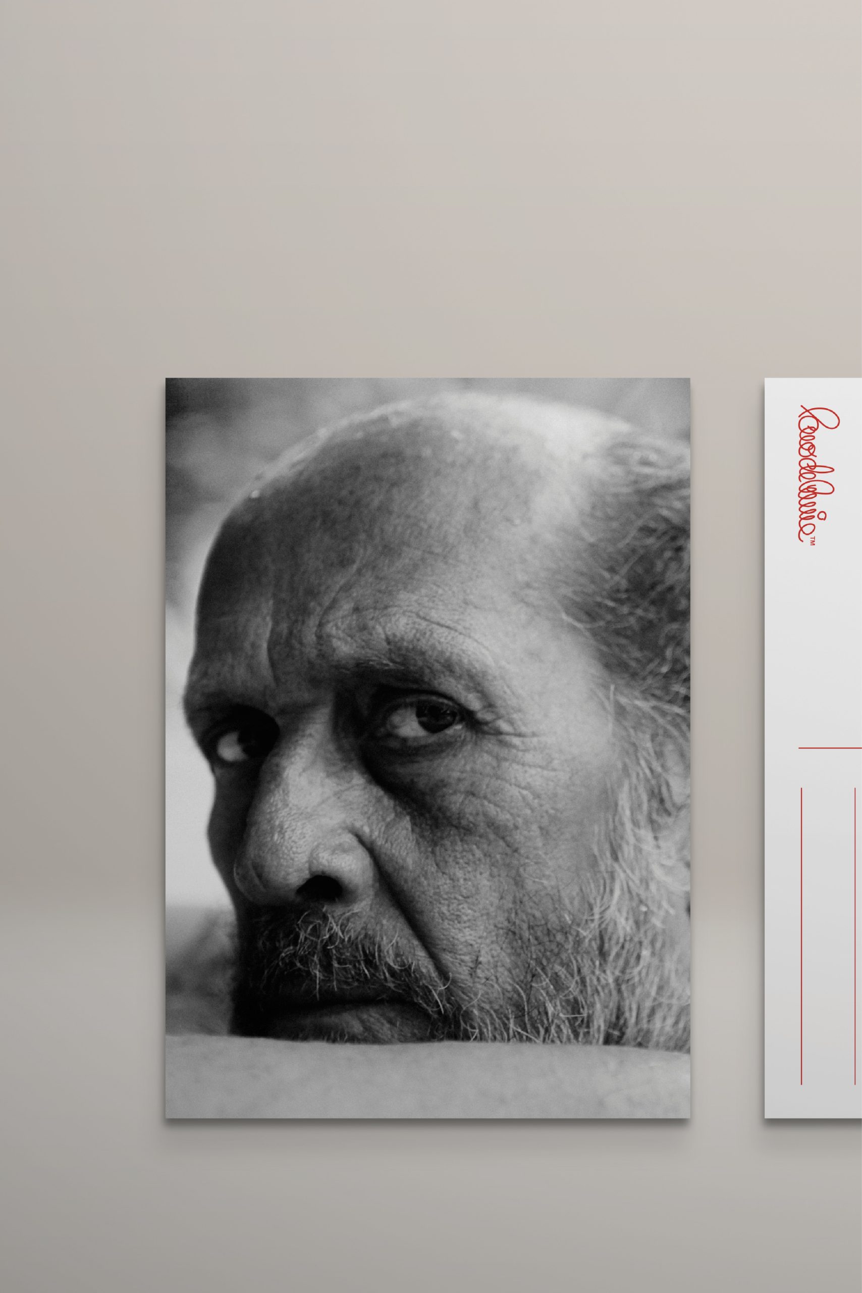 PACK 6 POSTALES: imagen 4